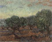 Vincent Van Gogh Olive Orchard,Saint-Remy Sweden oil painting artist